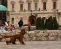 IMG_3142