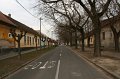 IMG_3196